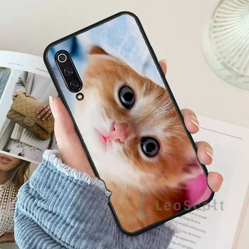 

Lovely animal cat kitten Phone Case For Xiaomi Redmi 7 9t 9se k20 mi8 max3 lite 9 note 8 9s 10 pro
