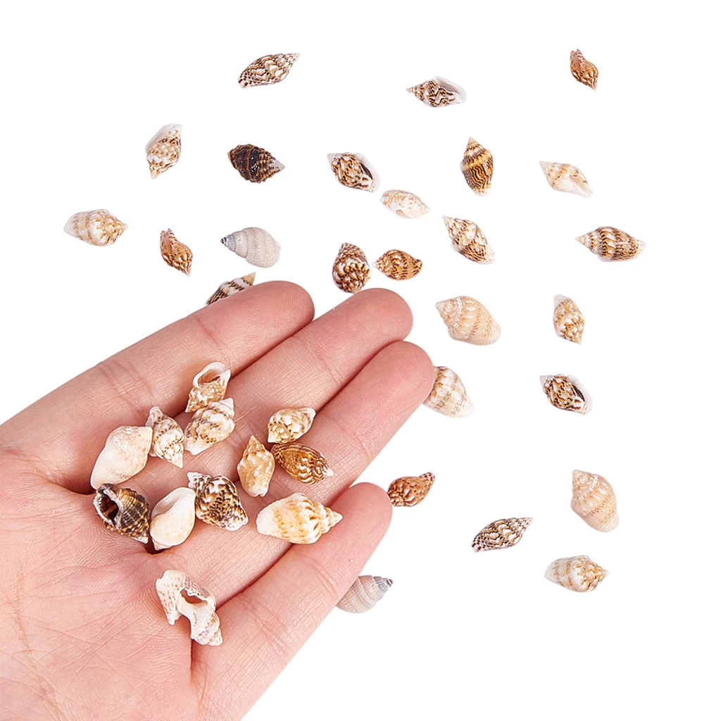 

Lots Mixed Sea Shells Assorted Natural Seashells Conch Crafts DIY Decoration for Arts & Crafts Project