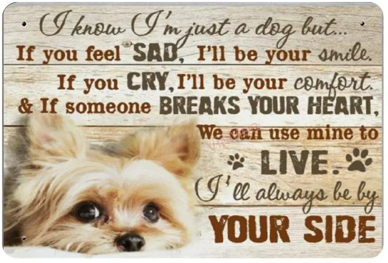 

SIGNSHM I&Rsquo;Ll Always Be by Your Side Retro Metal Tin Sign Plaque Poster Wall Decor Art Shabby Chic Gift Suitable for Indoor