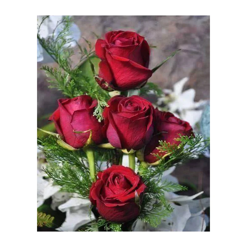 Набор для алмазной 3D вышивки крестиком набор из квадратных страз полное