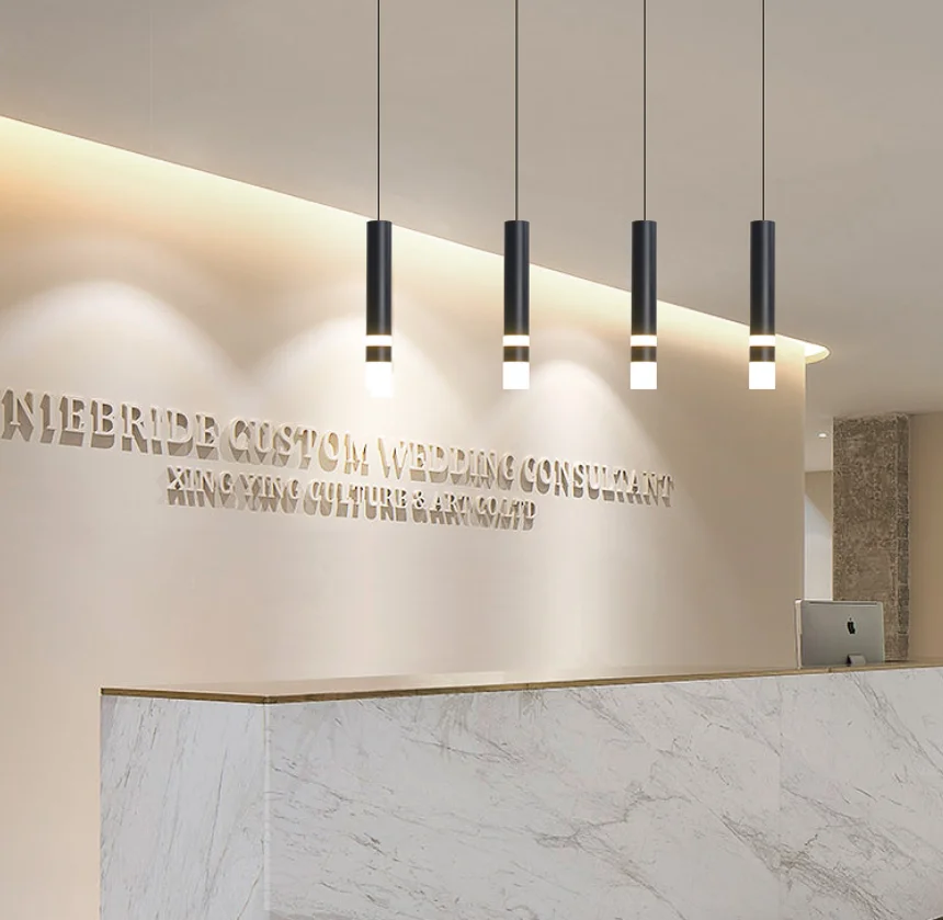 

Nordic Pendant Light Dual Light Sources Shine Up And Down Droplight Fixture Kitchen Dining Room Shop Bar Counter Decoration