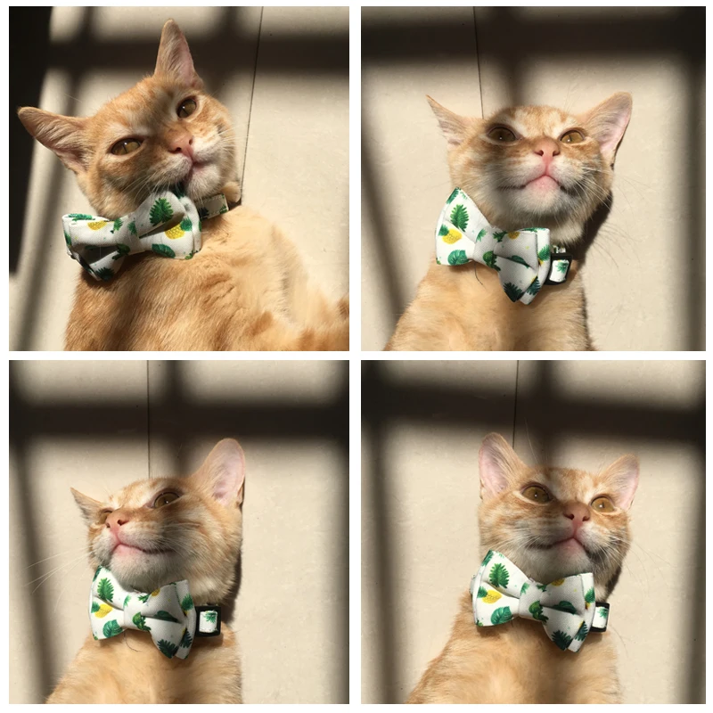 Летние ошейники для кошек с рисунком фруктов колокольчиками регулируемый