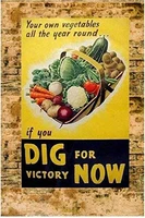your own vegetables dig for victory now rustic metal plate tin sign vintage retro man cave kitchen yard wall decor 12x8