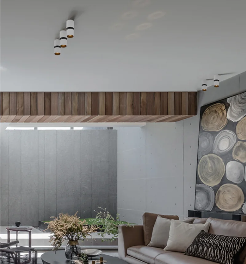 

Dimmable Unique LED Downlight Surface AC220V Ceiling Light LED 7W 12W COB Ceiling Room Lamp Indoor Lighting white/warm white