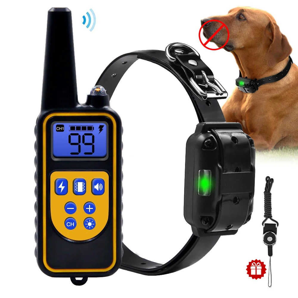 

Pet Products