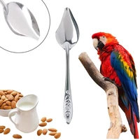 2pcs bird parrot feeding spoon stainless steel water milk powder feed spoon baby bird outdoor indoor portable pet supplies