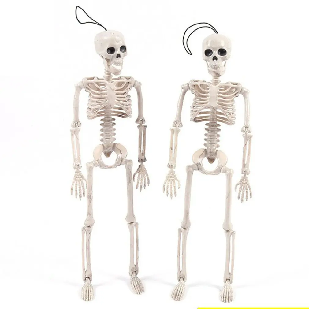 

Halloween Prop Skeleton Full Size Skeleton Skull Hand Lifelike Human Body Poseable Anatomy Model Party Festival Decoration