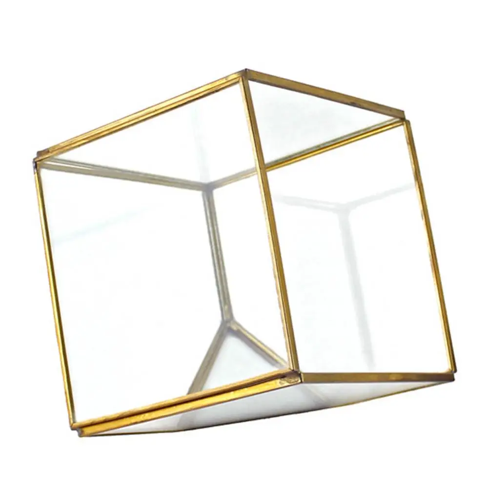 Геометрические кубики стеклянный террариум домашний декор растение мясистый