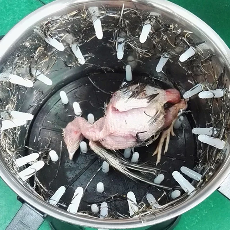 

1 Pcs Mini Plucker Machine 110V~240V To 12V Quail Pigeon Bird Hair Removal Machine Poultry Plucker Birds Epilator Dehairing EU P