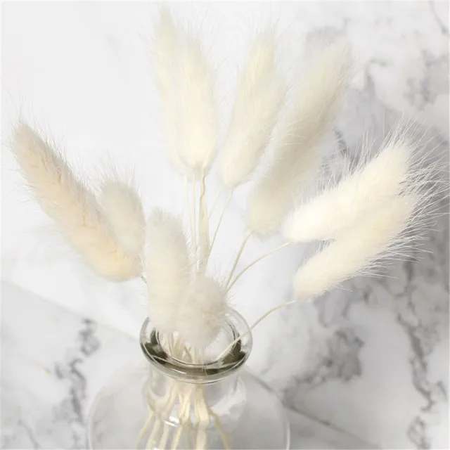

50pcs/Lot Natural Real Dried Flowers Pampas Grass Lagurus Ovatus Raw Color Rabbit Tail Grass Bouquet for Home Wedding Decor