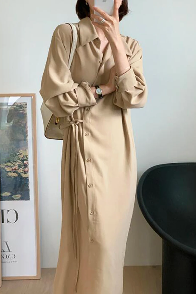 

Wavsiyier Korean Style A-Line Long Solid Sleeve Spring Woman Winter Dresses Loose Party 2021 Vintage Elegant Dress Women Vestido