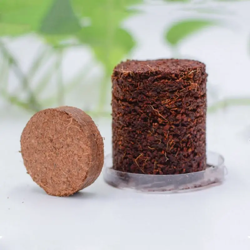 Мини бонсай питательная почва кошачья трава мясистая Кокосовая шелуха порошок