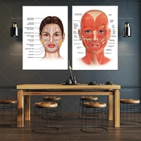 facial anatomy muscle vessels detailed art print educational science doctor canvas canvas art deco poster