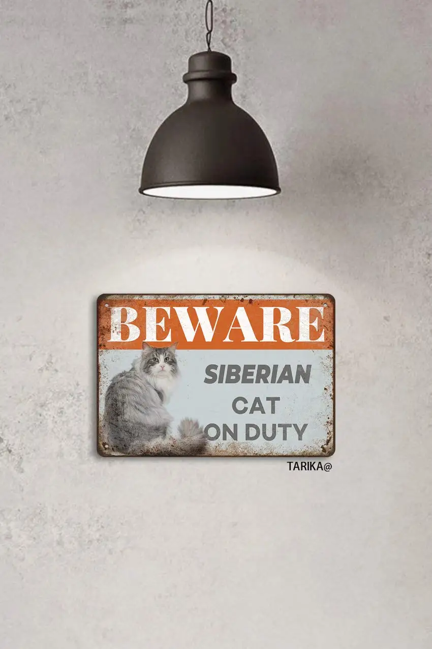 Остерегайтесь сибирской кошки на работу железный постер картина жестяной знак