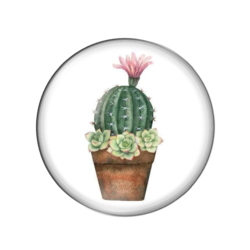 Новые модные растения кактусы цветы масляная краска 18 мм/20 мм/25 мм круглые фото