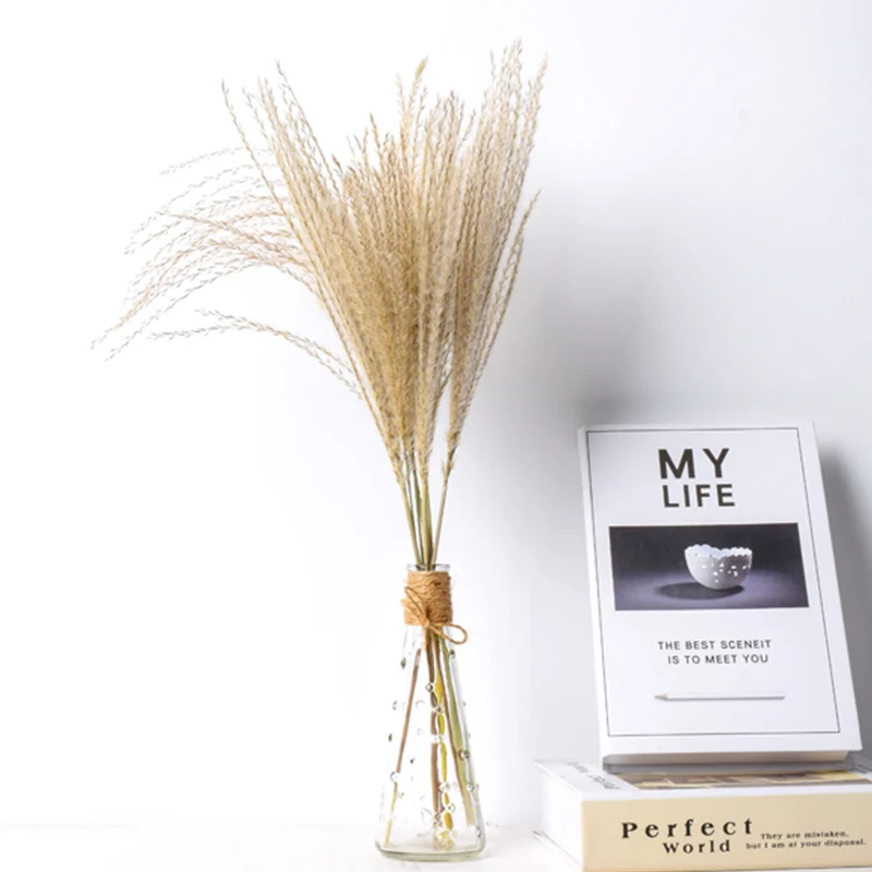 

15pcs Grey Primary Reed Natural Dried Flowers Small Pampas Grass Wedding Use Dry Flower Home Window Decoration Accessories