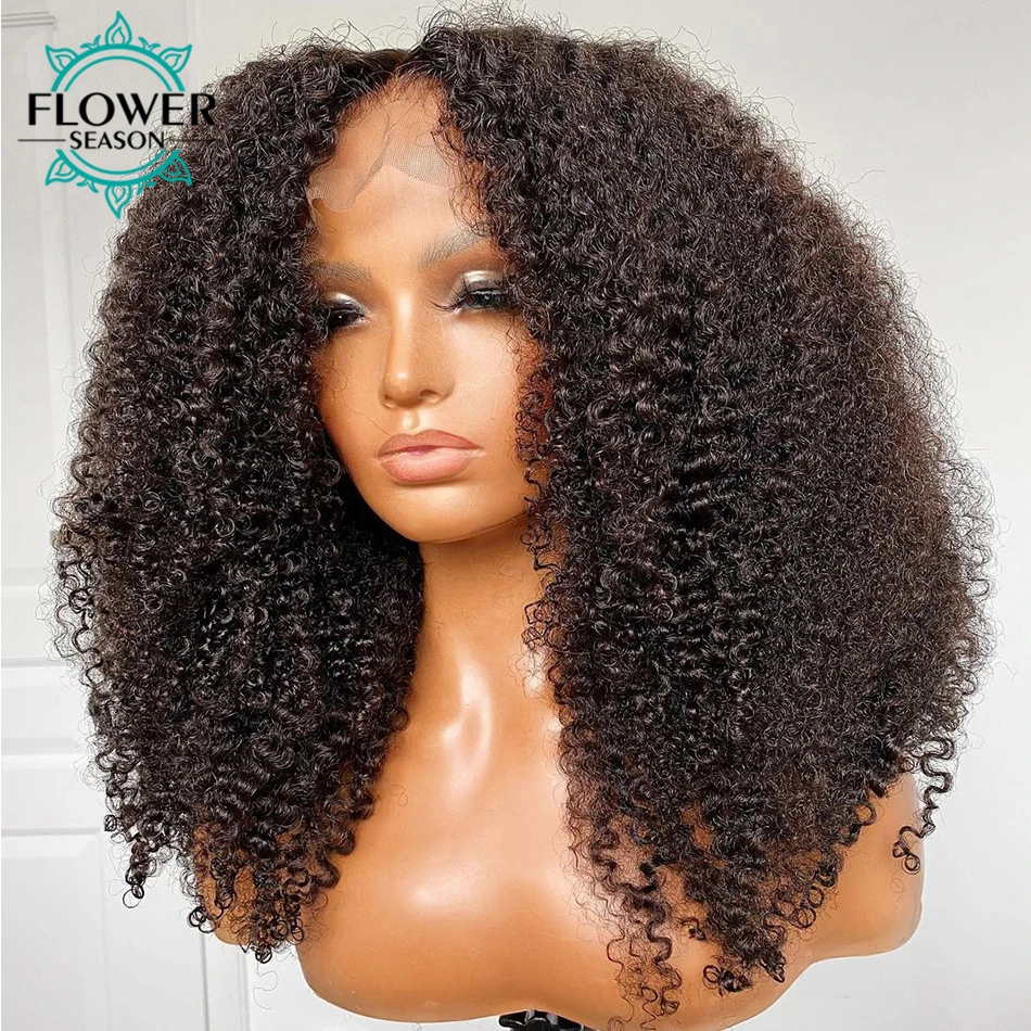Afro Kinky Curly Wigs 200Density Glueless 13x6 Lace Front Human Hair Wig Curly Transparent HD Lace Frontal Wig for Womenr