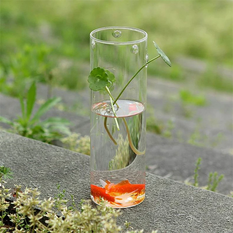 Стеклянная цилиндрическая настенная ваза гидропонное стекло Террариум аквариум