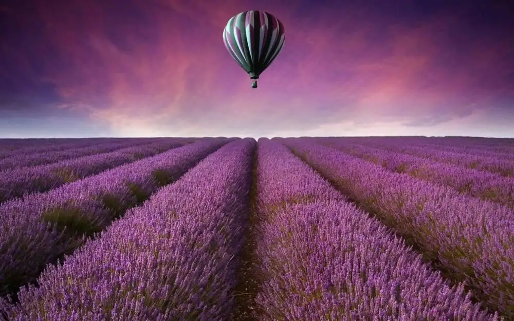 

Lavender Fields Balloon Art Film Print Silk Poster Home Wall Decor 24x36inch