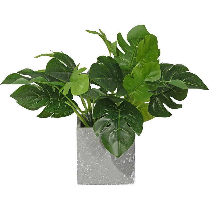 Ins Скандинавская креативная в виде черепахи лист зеленый укроп растение