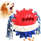 Товары для домашних питомцев, новинка, коляная палочка для щенков, игрушка для собак с вокалом, пищащий протекающий мяч, товары для собак