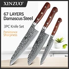 Набор кухонных ножей XINZUO из нержавеющей стали, универсальный шеф-нож сантоку из дамасманской стали, резак vg10, ручка из палисандра, 3 шт.