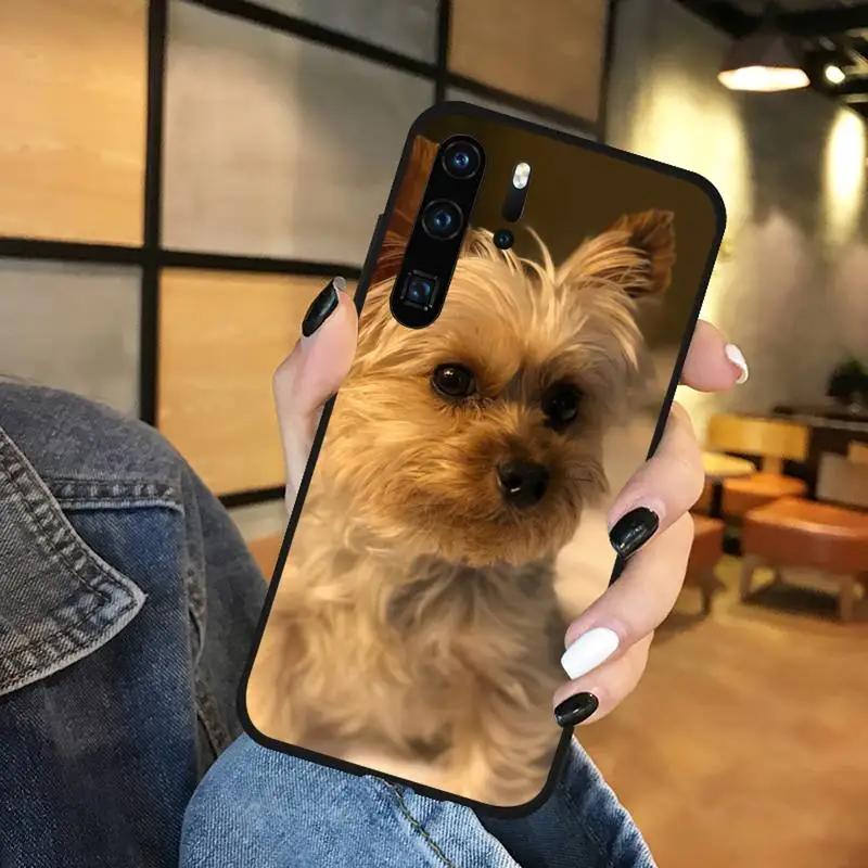 

Mini Yorkshire Terrier Dog Phone Case Funda For Huawei P9 P10 P20 P30 Lite 2016 2017 2019 plus pro P smart
