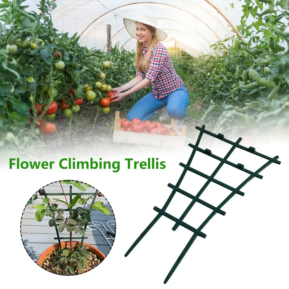 

6PCS/4PCS/2CPS Plant Climbing Trellis Support Flower Vegetable Trellis Climb Rack For Courtyard Garden Accessories Dropshipping