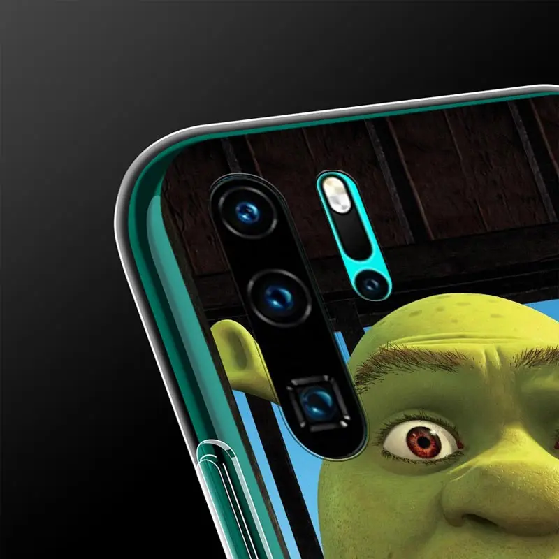 

Transparent Cover Cartoon Moive Shrek Coon For Honor V30 View 20 V20 30i 30S 30 20S 20E 20i 20 Lite Pro Plus Phone Case
