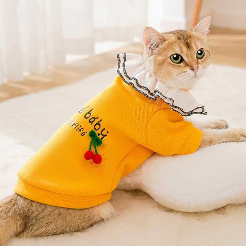 

Thickening Soft Dog Two-legged Warm Sweater Unisex Pet Knitwear Non-shrink Puppy Costume