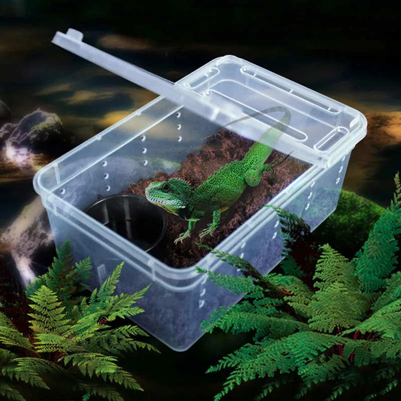 

Transparent Plastic Box Insect Reptile Transport Breeding Live Food Feeding Box D7WE