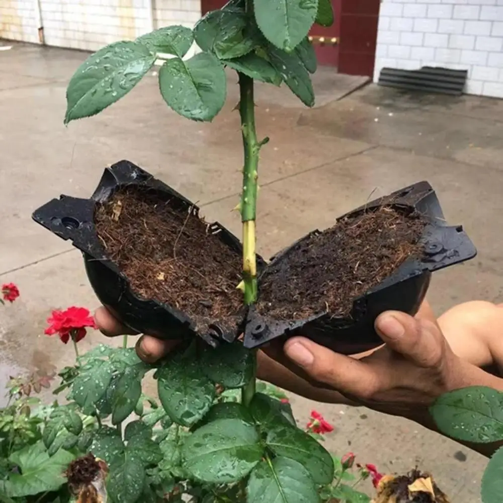 Небольшой переносной для растений корень выращивания корней прививки короб ящик