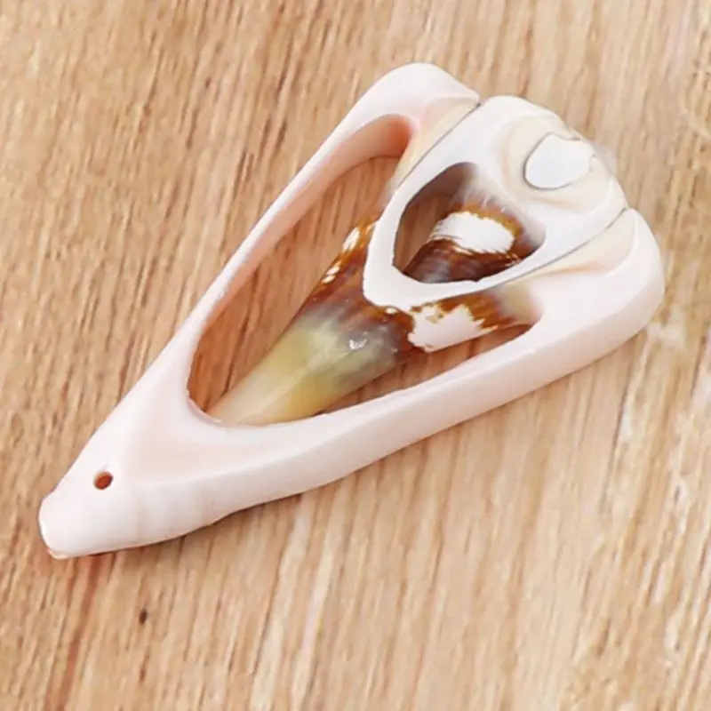 

60Pcs Natural Cowrie Shell Spiral Shells Slices Smooth Cut Beachh Seashells Bead P0RF