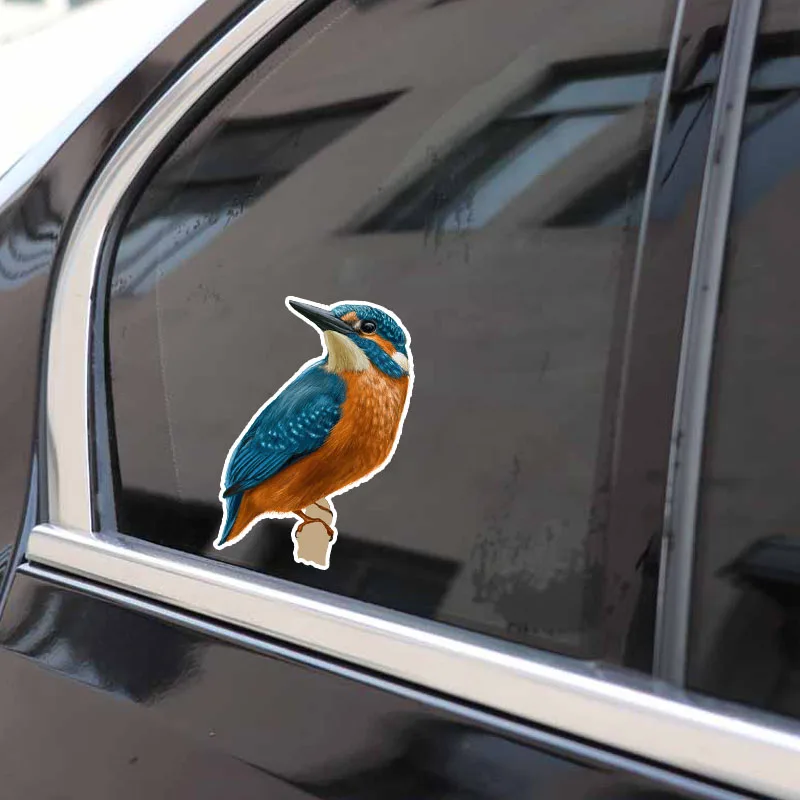 

The Coolest Hummingbird Flying PVC Decorative Car Sticker with High Quality Color Personalization 16cm*9cm