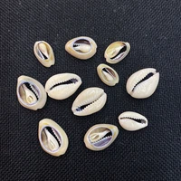 20 pieces of natural small conch shell beads wholesale beach shell diy craft accessories jewelry necklace bracelet anklet making