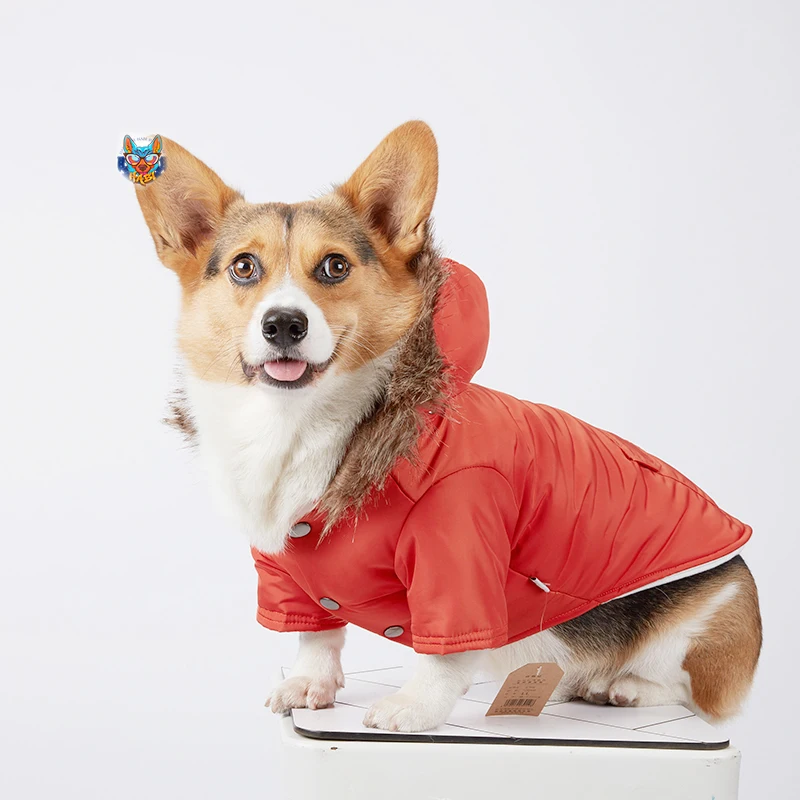 Зимняя Теплая Одежда для собак водонепроницаемое пальто Французский бульдог