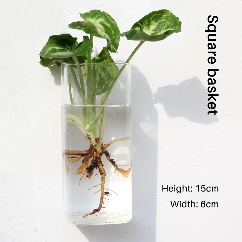 Аквариумная аквариумная чаша для украшения Настенное подвесное оборудование