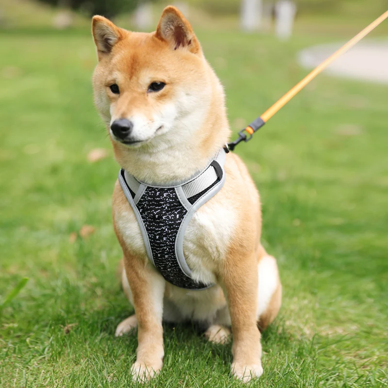 Средний очень маленькая шлейка для больших собак жилет изящный защитный чехол