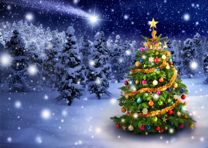 

Winter Forest Photography Backdrop Snowy Christmas Pine Tree Background Xmas Party Wall Decoration Supplies Photo Booth