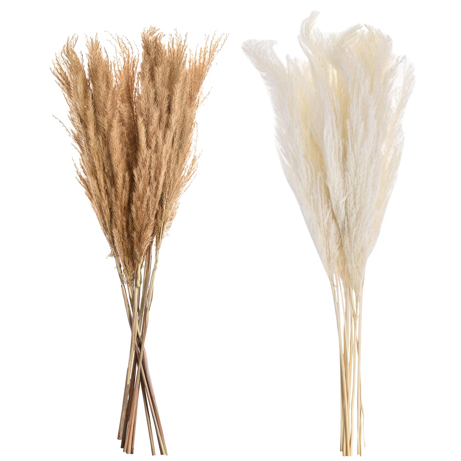 

10PCS Simulation Pendant Dried Whisk Reed Household Decoration Ornaments Suitable For DIY Wedding Coffee Shop Home Decoration