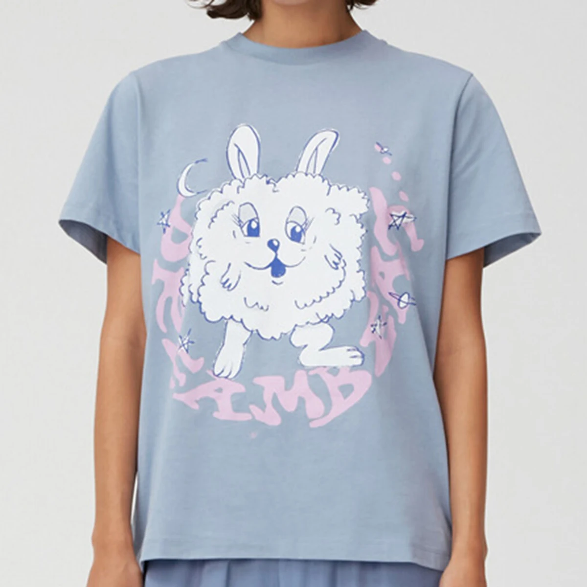 

Модные классические футболки с принтом кролика, топы, женская летняя хлопковая индивидуальная уличная одежда, хипстерская одежда с круглым...