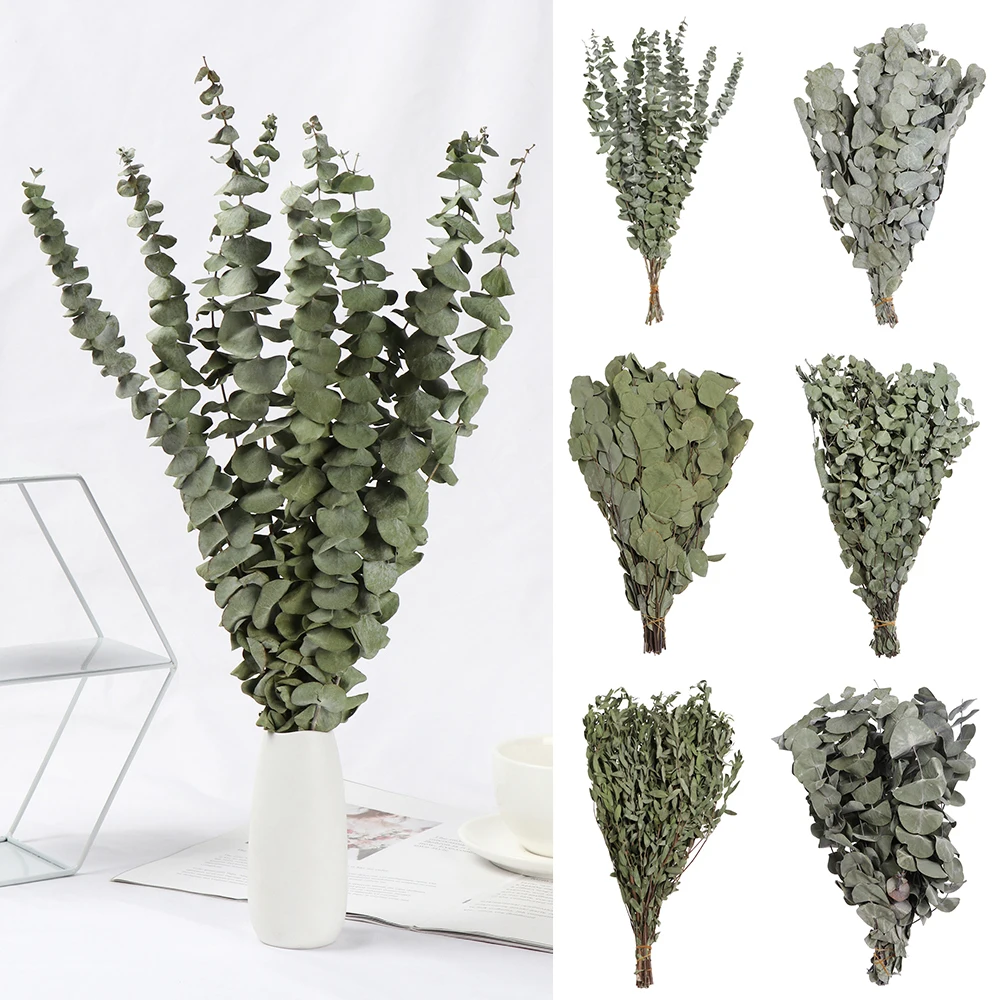 Букет натуральных сушеных эвкалиптов букет из свежих цветов натуральные зеленые