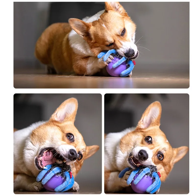 Игрушки для собак паук яйцо крокодил динозавр игрушки моляров неваляшка яичная