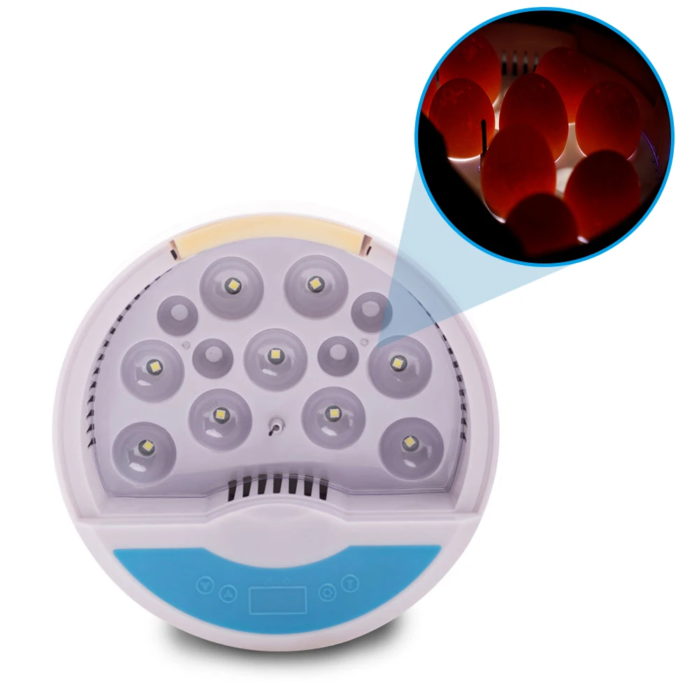 

Мини-инкубатор для цыплят, уток, перепелов, светодиодный яиц