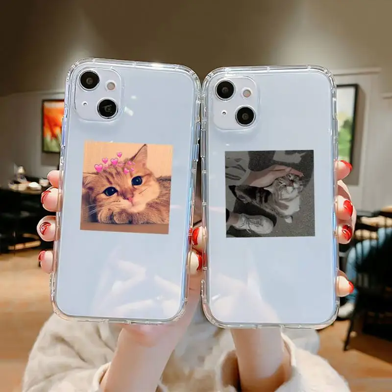 

Cat aesthetics cute animal Phone Case Transparent soft For iphone 12 11 13 7 8 6 s plus x xs xr pro max mini