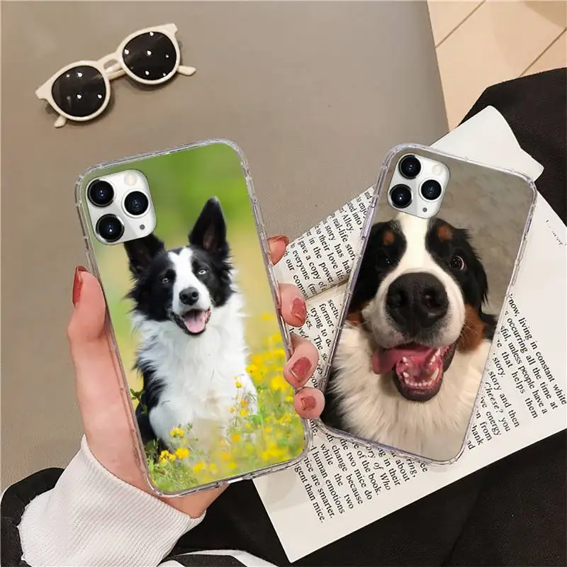 

Bernese Mountain Dog Phone Case Transparent soft For iphone 12 11 13 7 8 6 s plus x xs xr pro max mini