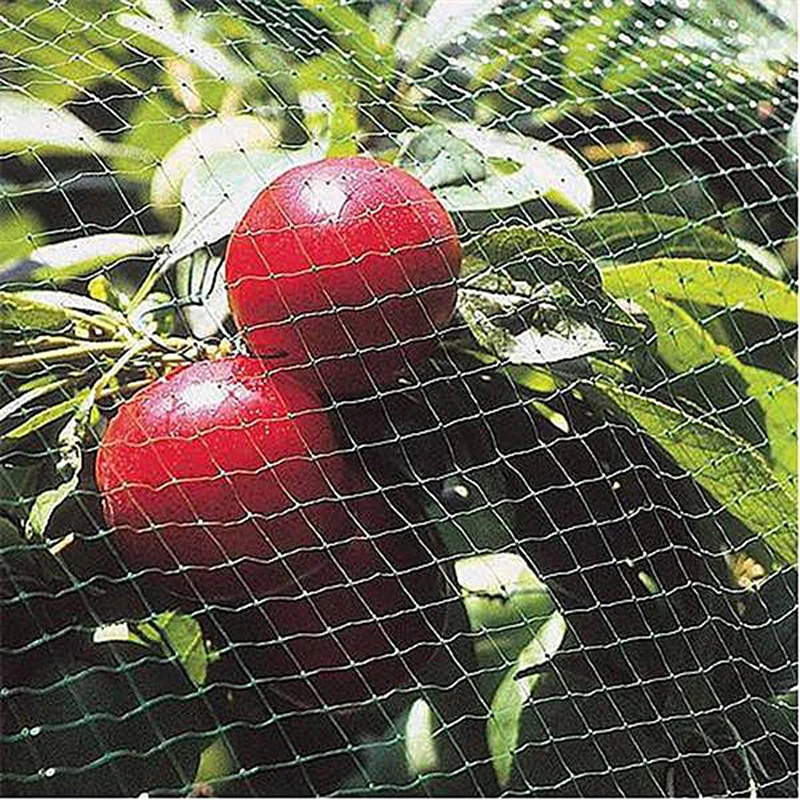 

Nylon Bird Net Anti Bird Catcher Netting Garden Protection Traps Crops Fruit Tree Vegetable Flower Covers Nets Mesh Pest Control