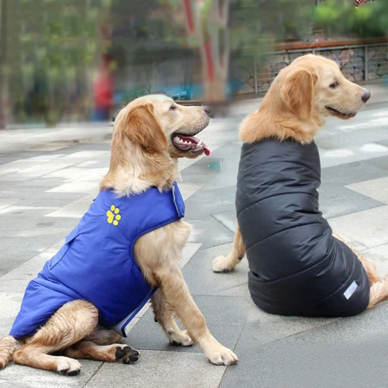 11-7 Размер плюс зимняя теплая одежда для домашних животных водонепроницаемый
