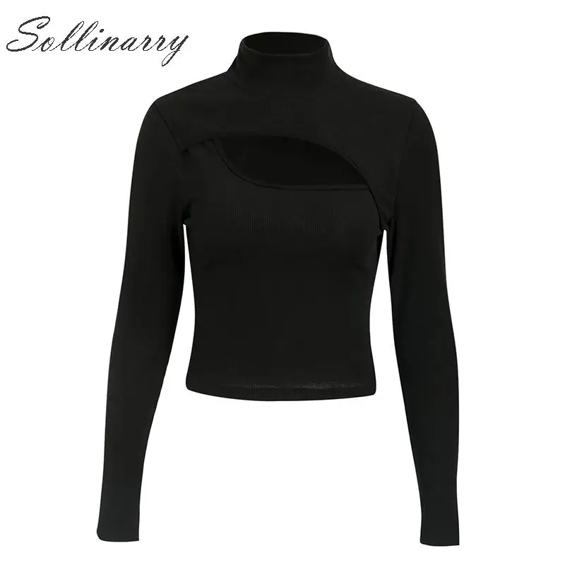 Sollinarry/модные черные зимние вязаные топы для женщин 2019 водолазка с длинными