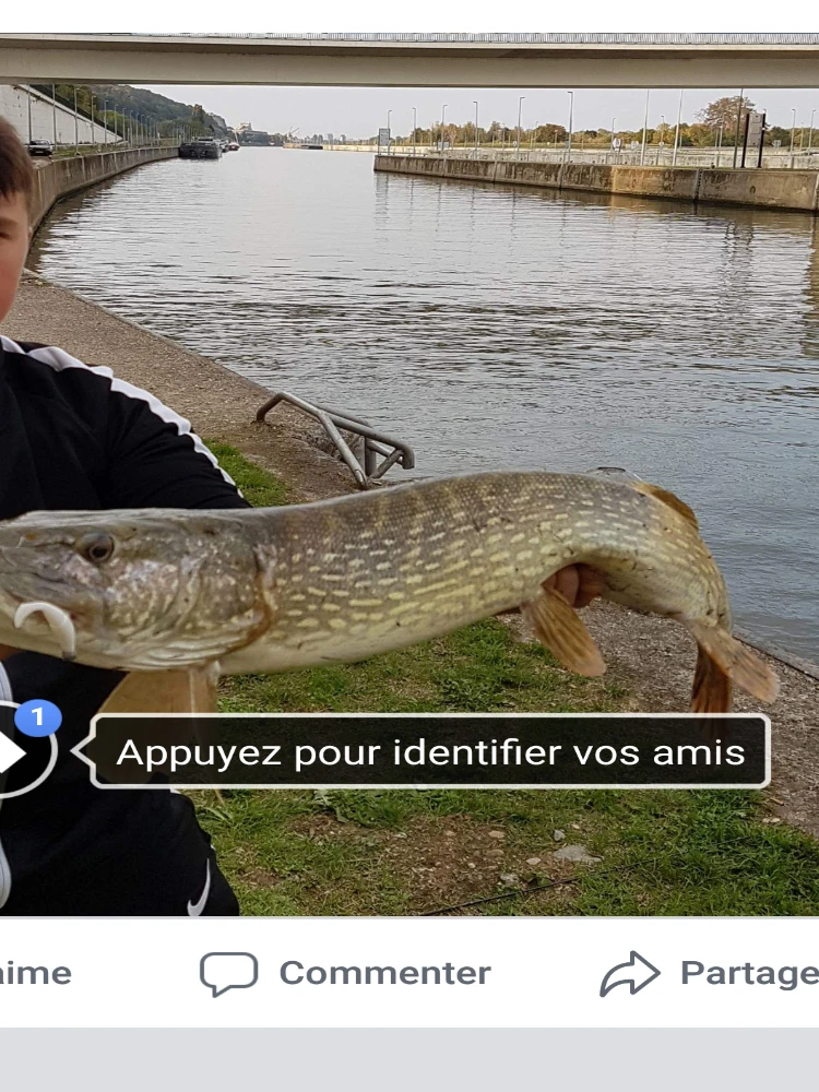 Мягкие приманки KESFISHING Shad Easy Shiner 50 мм 70 1 2 г 3 8 | Спорт и развлечения
